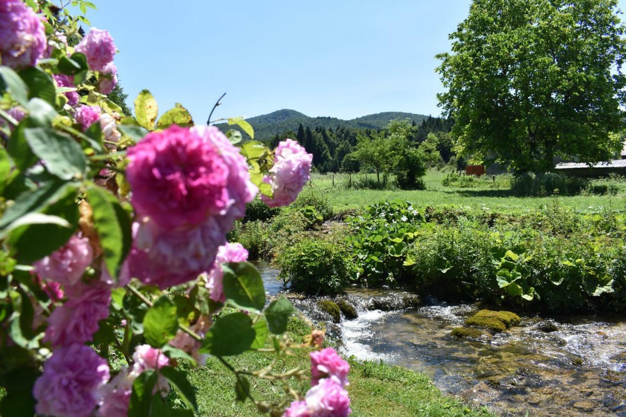 Plitvice Panta Rei Pensionat Plitvička Jezera Exteriör bild