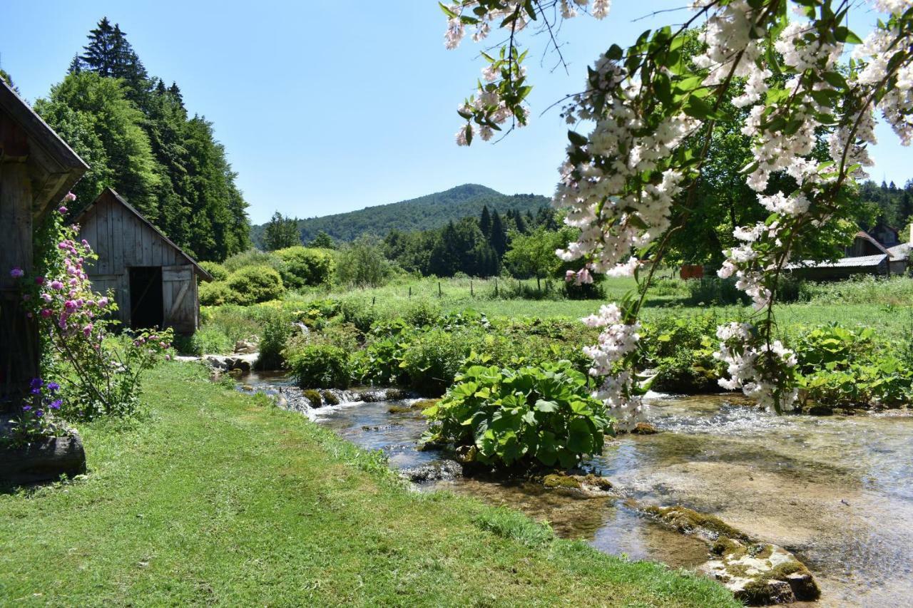 Plitvice Panta Rei Pensionat Plitvička Jezera Exteriör bild