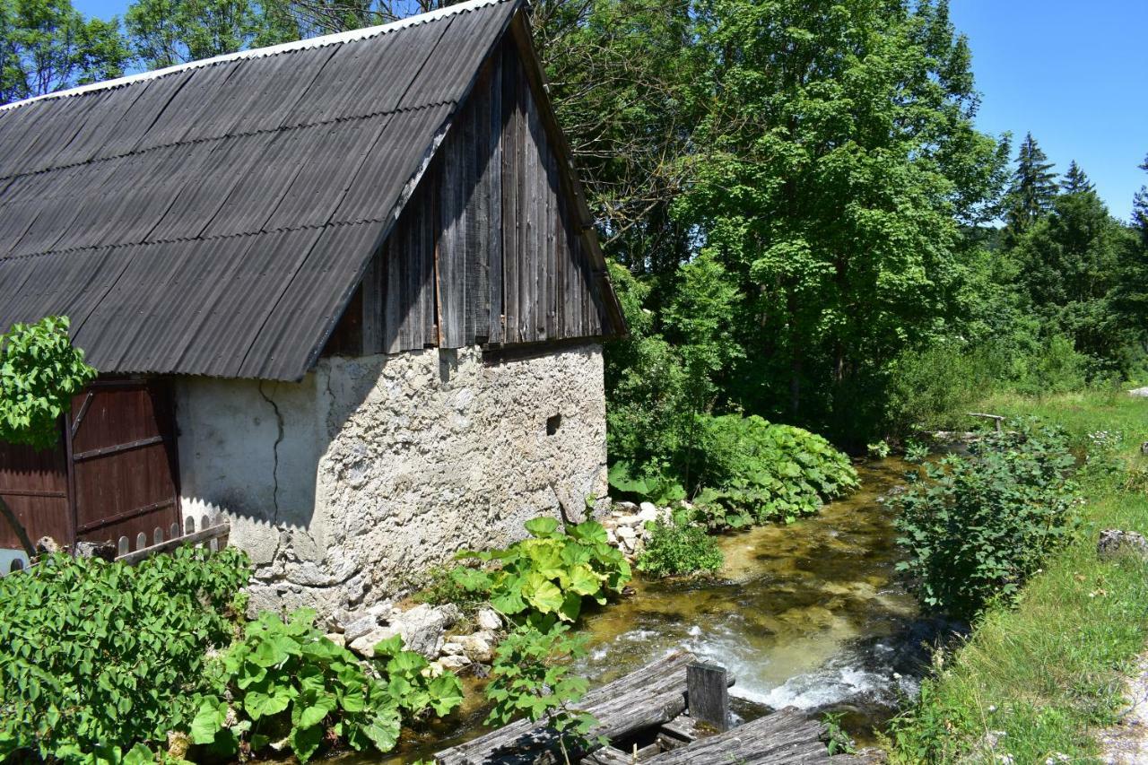 Plitvice Panta Rei Pensionat Plitvička Jezera Exteriör bild