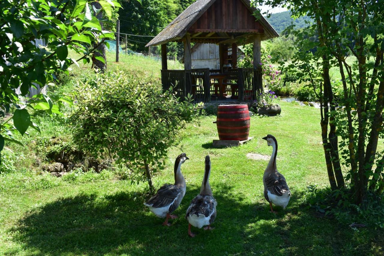 Plitvice Panta Rei Pensionat Plitvička Jezera Exteriör bild