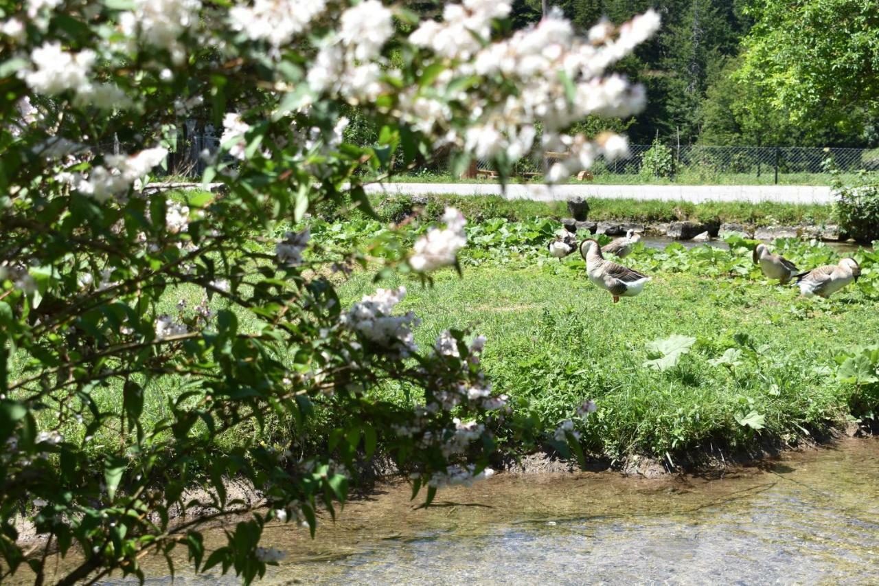 Plitvice Panta Rei Pensionat Plitvička Jezera Exteriör bild