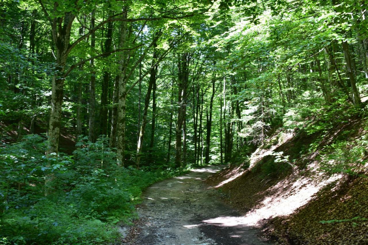 Plitvice Panta Rei Pensionat Plitvička Jezera Exteriör bild