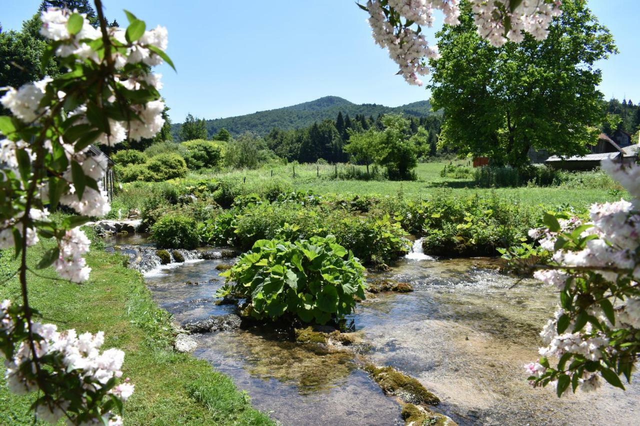 Plitvice Panta Rei Pensionat Plitvička Jezera Exteriör bild