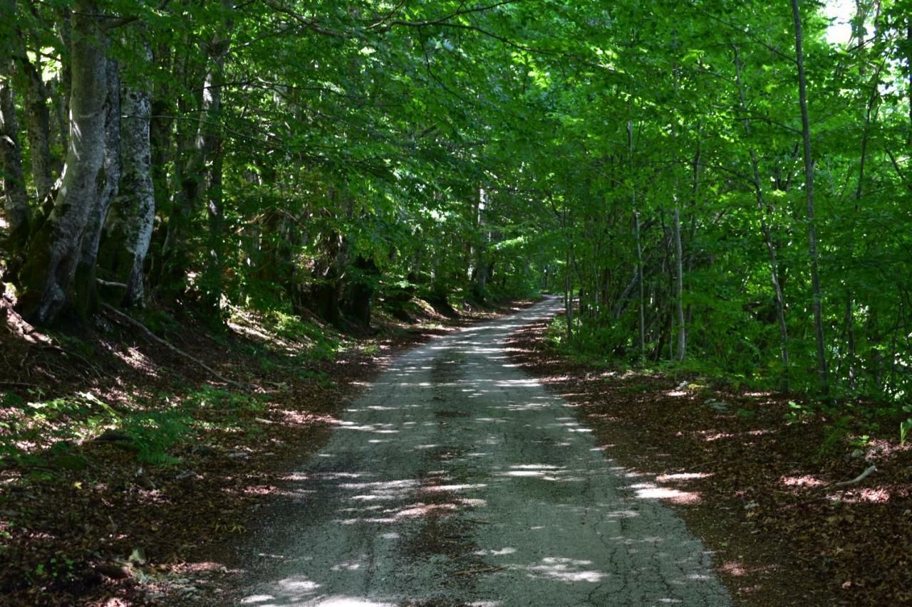 Plitvice Panta Rei Pensionat Plitvička Jezera Exteriör bild