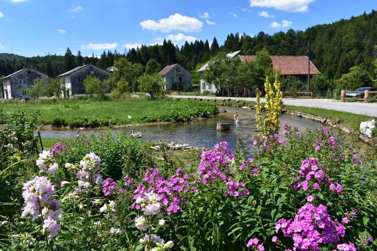 Plitvice Panta Rei Pensionat Plitvička Jezera Exteriör bild